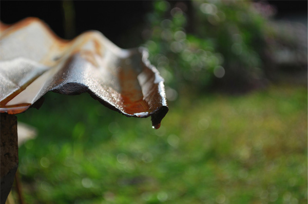   bokeh  