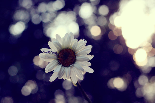   bokeh  